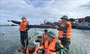 Đà Nẵng và đặc khu Lý Sơn (Quảng Ngãi) chủ động ứng phó bão số 13