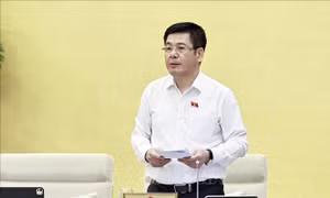 Quy định cơ chế, chính sách đặc thù đối với dự án xây dựng khu đô thị lấn biển tại Đà Nẵng