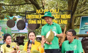 Minh bạch xuất xứ: Nền móng của niềm tin số