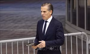 Con trai Tổng thống Joe Biden rút đơn kiện cựu luật sư riêng của ông Donald Trump