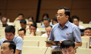Đề nghị thiết lập 'hàng rào an toàn' cho hòa giải trực tuyến