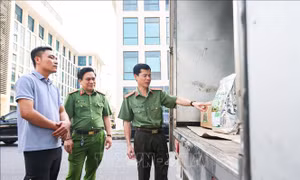 Chế tài chưa đủ sức răn đe phân bón giả