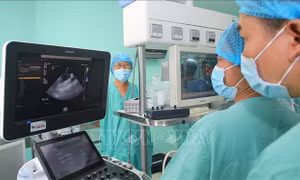 Chung tay mở lòng nhân ái, gieo mầm sự sống