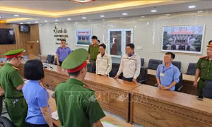 Vụ chôn lấp trái phép hàng trăm tấn chất thải tại Đà Nẵng: Khởi tố vụ án, khởi tố ba bị can