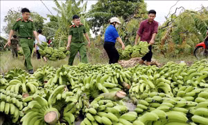 Không để găm hàng, tăng giá bất hợp lý sau bão lũ