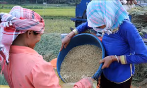 Nâng cao chất lượng đời sống người dân theo hướng nông thôn mới và nông thôn kiểu mẫu