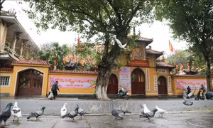 20 giờ ngày 19/11, các chùa, cơ sở tự viện cả nước đồng loạt thỉnh chuông, tưởng niệm, cầu siêu cho các vong linh tử vong do COVID-19
