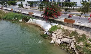 Khắc phục sụp lún, sạt lở kè Thường Thới Tiền trước mùa lũ năm 2025