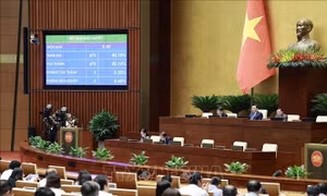 Ngày 24/6, Quốc hội họp riêng về công tác nhân sự; bế mạc Kỳ họp thứ 5