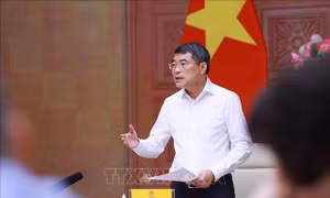 Xử lý triệt để tình trạng chậm ban hành văn bản quy định chi tiết luật, pháp lệnh, nghị quyết