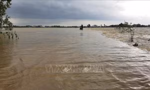 Tìm thấy thi thể người đàn ông bị nước lũ cuốn trôi ở Lâm Đồng