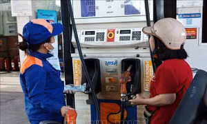 VAMA: Phần lớn dòng xe tại Việt Nam tương thích xăng E10 tiêu chuẩn Euro 4 trở lên