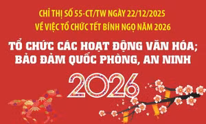 Tổ chức các hoạt động văn hóa; bảo đảm quốc phòng, an ninh