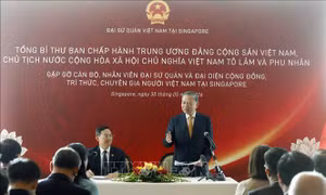 Cộng đồng người Việt Nam tại Singapore tiếp tục là cầu nối thúc đẩy quan hệ hữu nghị giữa hai nước