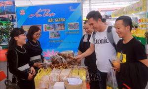 Khai mạc Hội chợ Thương mại, du lịch quốc tế Việt - Trung