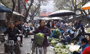 Không xảy ra thiếu hàng, sốt giá trong những ngày Tết