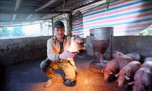 Chủ động ứng phó với không khí lạnh tăng cường, rét và gió mạnh trên biển