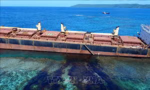 Australia kiểm soát thảm họa tràn dầu gần đảo san hô lớn nhất thế giới