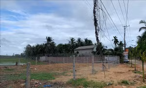 Vụ 'Cưỡng chế nhà thờ phụng Mẹ Việt Nam Anh hùng' ở Bình Định: Bà Trương Thị Thanh rút đơn khiếu nại