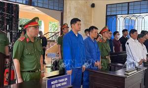 Xét xử Phó Giám đốc Công ty Thành Bưởi và lái xe gây tai nạn làm 5 người tử vong