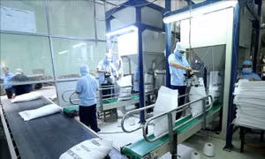Việt Nam - ASEAN khẳng định vị thế hợp tác khu vực và thế giới
