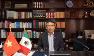 50 năm quan hệ Việt Nam - Mexico: Còn nhiều dư địa phát triển