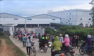 Sau 4 ngày ngừng việc tập thể, gần 1.000 công nhân đã đi làm trở lại 