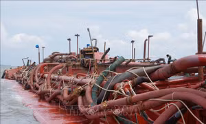 Bắt giữ hai tàu khai thác cát trái phép trên sông Hàm Luông