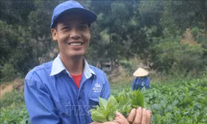 Chuyện làm OCOP ở xã nghèo thuộc diện 135