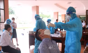 Bến Tre phát hiện số mắc biến chủng Omicron đang phổ biến