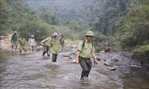 Một chuyến 'tuần rừng' trong đại ngàn Pù Huống