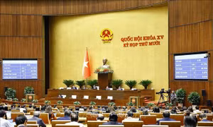 Ban hành Kế hoạch triển khai thi hành Luật Trí tuệ nhân tạo