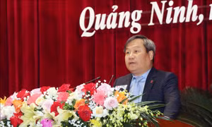Dừng tuyển dụng, luân chuyển, bổ nhiệm cán bộ cấp huyện
