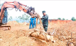Hủy nổ thành công quả bom nặng 340 kg còn nguyên kíp nổ