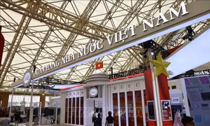 ADB: Cải cách thể chế đưa Việt Nam hướng tới mục tiêu 2045