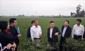 Đồng chí Xaysomphone Phomvihane và những đóng góp to lớn cho quan hệ đặc biệt Việt Nam - Lào