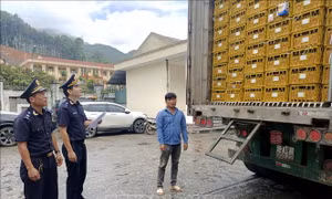 Sửa đổi, bổ sung ngay quy định gây chồng chéo cho mô hình chính quyền địa phương 2 cấp