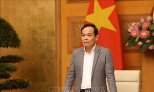 Điều chỉnh phân công nhiệm vụ các Phó Thủ tướng Chính phủ