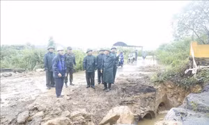 Quân đội chủ động rà soát các phương án ứng phó bão số 12 và mưa lũ 