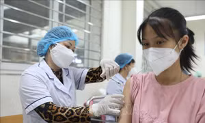 Dự đoán tình hình dịch COVID-19 tại Việt Nam thời gian tới