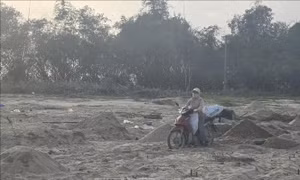 Ruộng đồng Gò Nổi (Đà Nẵng) chưa thoát cảnh cát bồi lấp
