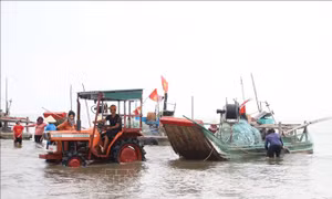Nghệ An: Huyện Diễn Châu đạt chuẩn nông thôn mới