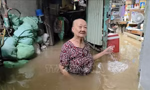 Triều cường tại Cần Thơ vượt báo động 3, nhà dân nước ngập ngang bụng