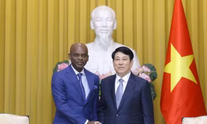 Chủ tịch nước tiếp Bộ trưởng Ngoại giao, Hội nhập khu vực và Kiều dân Cộng hòa Togo
