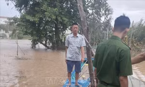 Dùng vỏ lãi đưa người không hộ chiếu sang Campuchia đánh bạc
