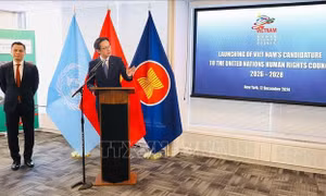 UNDP hoan nghênh sự tham gia của Việt Nam vào các cơ chế nhân quyền quốc tế
