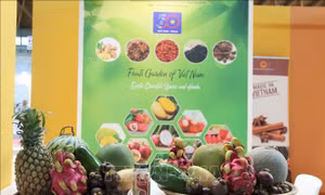 Cơ hội quảng bá tiềm năng rau quả và gia vị Việt Nam tại Hội chợ quốc tế Macfrut 2023