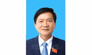 Thi hành kỷ luật nguyên Chủ tịch UBND tỉnh Quảng Ngãi Trần Ngọc Căng