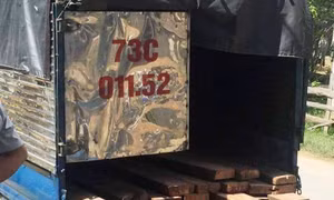 Truy đuổi xe chở gỗ, ba cán bộ kiểm lâm bị đánh trọng thương