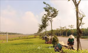 Đồng Nai đề xuất tên 7 tuyến đường lớn gắn với nhân vật lịch sử, lãnh đạo cách mạng